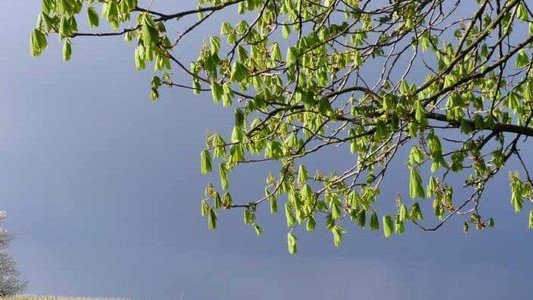 Gorąco i burzowo w niedzielę – FILM