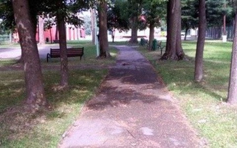 Remont alejek w parku wiejskim w Malcu