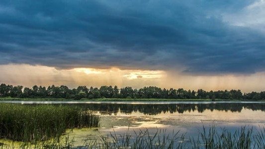 Upał od poniedziałku – FILMY