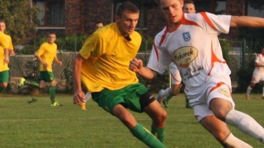 W Niwie nie dokonano wielu zmian w składzie, przynajmniej na razie