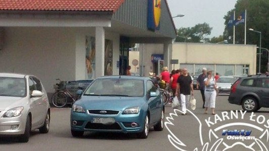 Karne Łosie na zakupach – FOTO