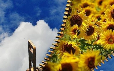 Pogodny, wręcz upalny czwartek