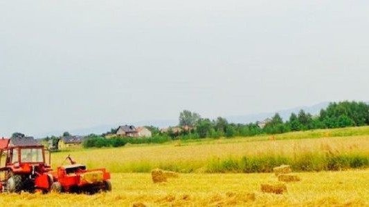 Dożynki w Bielanach