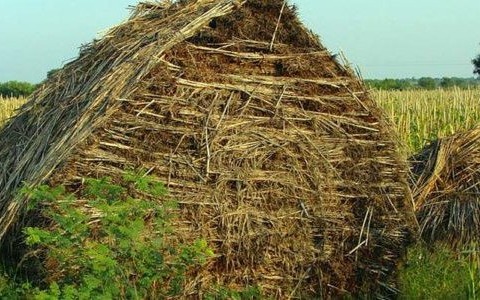 Sezon dożynkowy trwa