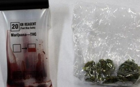 150 porcji marihuany u 17-latka