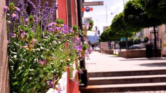 Kęty w trójce ukwieconych – FOTO