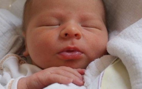 Dziesięcioro maluchów przyszło na świat – FOTO