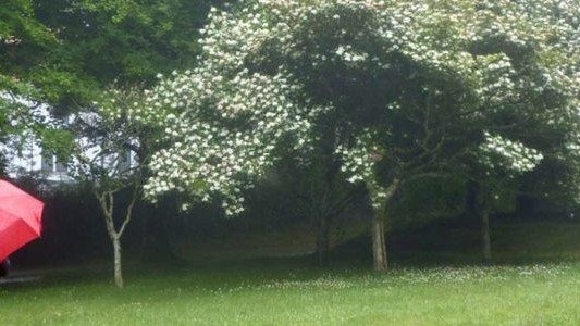 Deszczowy poniedziałek – FILM