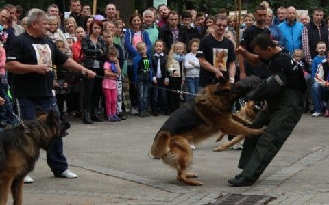 Przyjaciele nie zawiedli Wojtka – FOTO
