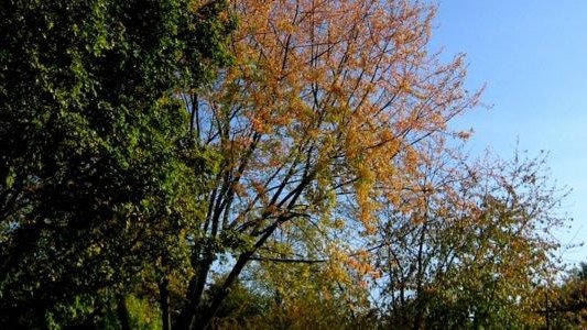 Pogoda będzie sprzyjać spacerom – FILMY