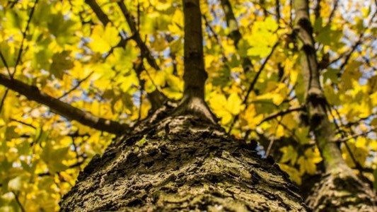 Pogoda na Wszystkich Świętych. Będzie wietrznie -FILM