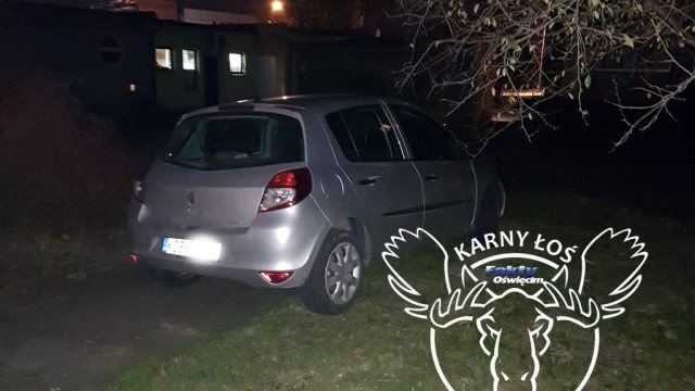 Karny Łoś w potrzebie