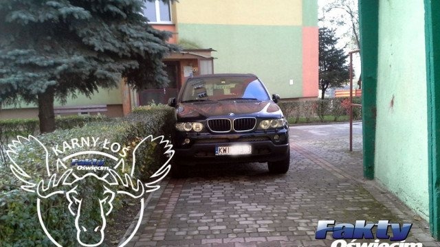 Karny Łoś w bmw