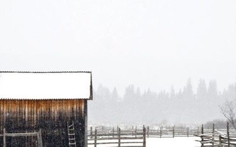 Policjanci gotowi do akcji „Zima”