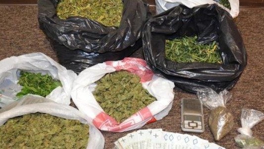 Zlikwidowali uprawę konopi indyjskich – FOTO