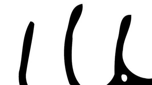 Nie spodobała mu się policyjna kontrola. Będzie proces