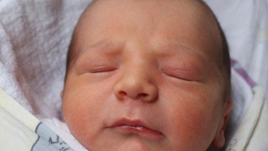 Witamy wśród nas dziewiątkę maluchów- FOTO