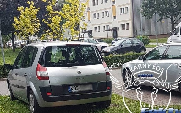 Szanuj zieleń boś… Karny Łoś