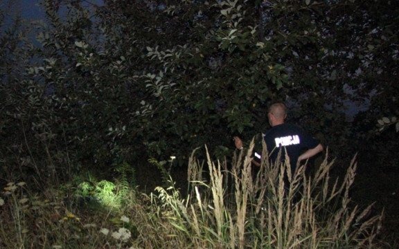 Ponad sto krzewów konopi rosło w zagajniku