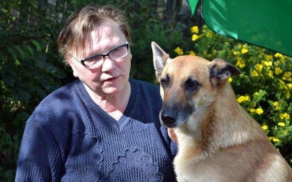 Dorzućmy się do zbiórki dla hospicjum dla zwierząt