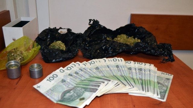 Plantacja konopi w wynajętym domu – FOTO