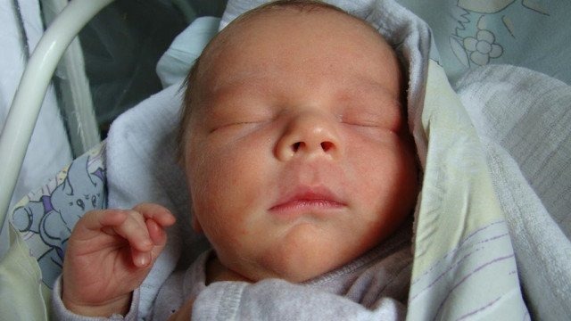 Witamy tuzin chłopców i pięć dziewczynek – FOTO