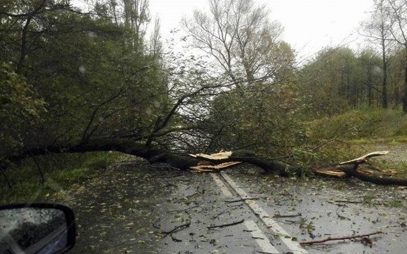 Grzegorz szaleje, strażacy walczą ze skutkami