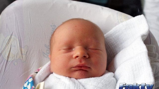 Witamy Alę, Olę, Różę, Nikosia, Micha, Kubę i Olka – FOTO