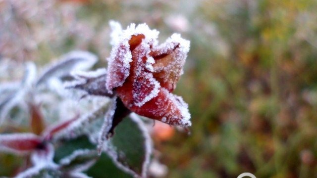 Lód na drogach. Ostrzeżenie IMGW