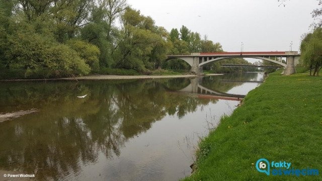 Soła skażona chemikaliami po pożarze w Żywcu – FILM, FOTO