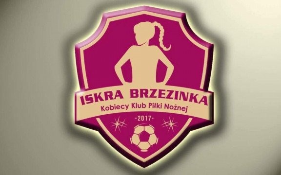 Iskierki poznały nowego trenera