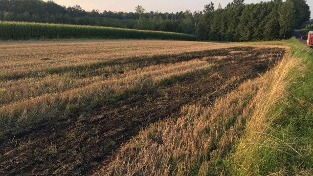 Pożar ścierniska, las był zagrożony