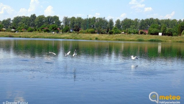 Słoneczna, gorąca sobota