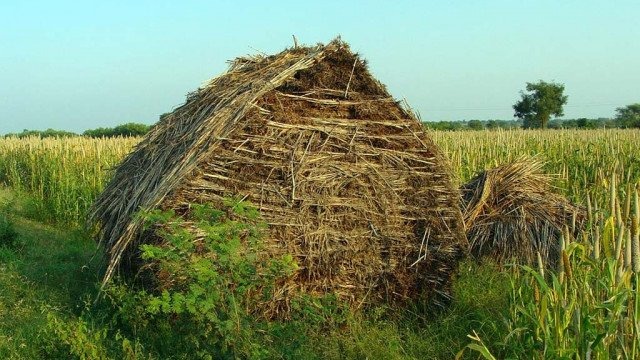 Święto plonów w gminie Kęty