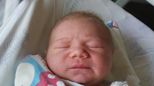 Witamy wśród nas pięcioro maluchów – FOTO