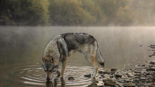 National Geographic Magazine Poland wyróżnił zdjęcie fotoreportera eFO
