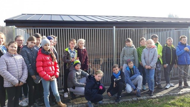 Pomogli bezdomnym czworonogom – FOTO