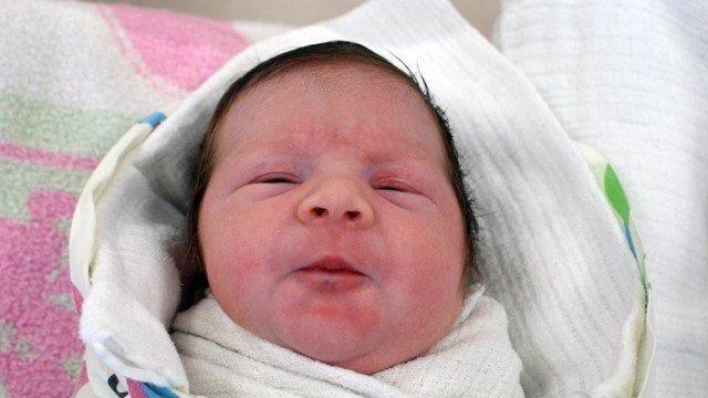 Witamy dziewiątkę maluchów – FOTO