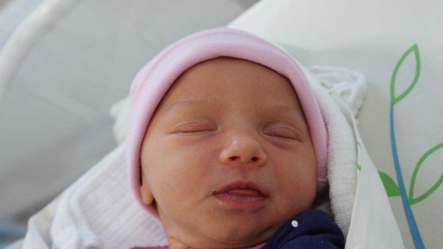 Witamy Adę, Tolę, Zosię, Zuzię, Ignasia i Julka – FOTO