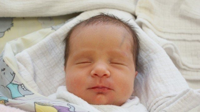 Witamy siódemkę wspaniałych – FOTO