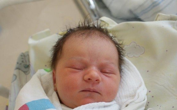 Witamy Kasię, Lilkę, Zuzię i Klaudiusza – FOTO