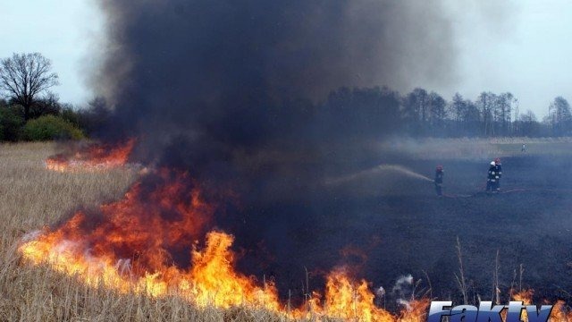 Rozpoczęło się wypalanie traw