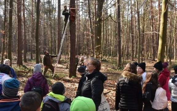 Montowali budki dla ptaków – FOTO