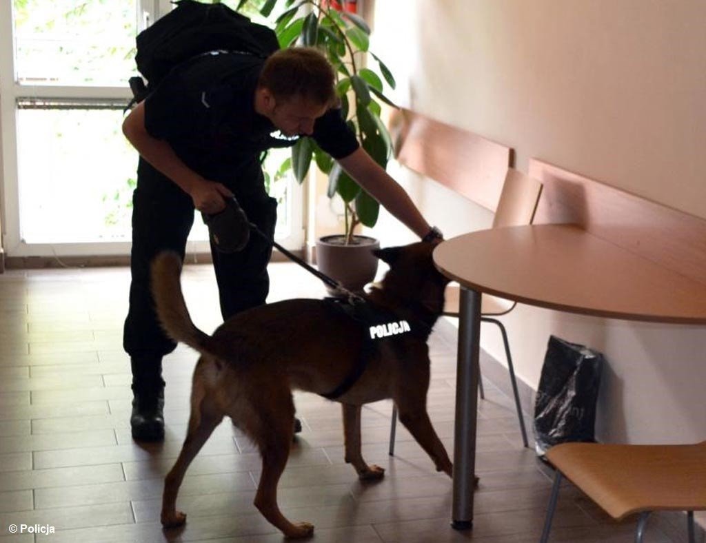 Alarmami bombowymi próbowali sparaliżować matury