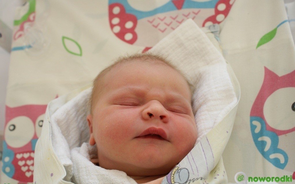 Witamy dziewiąteczkę i jedenasteczkę – FOTO