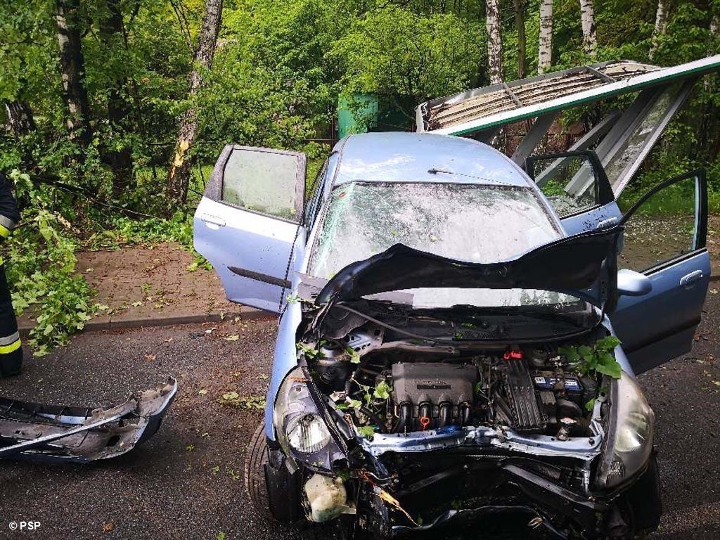 Hondą w drzewo i przystanek – FOTO