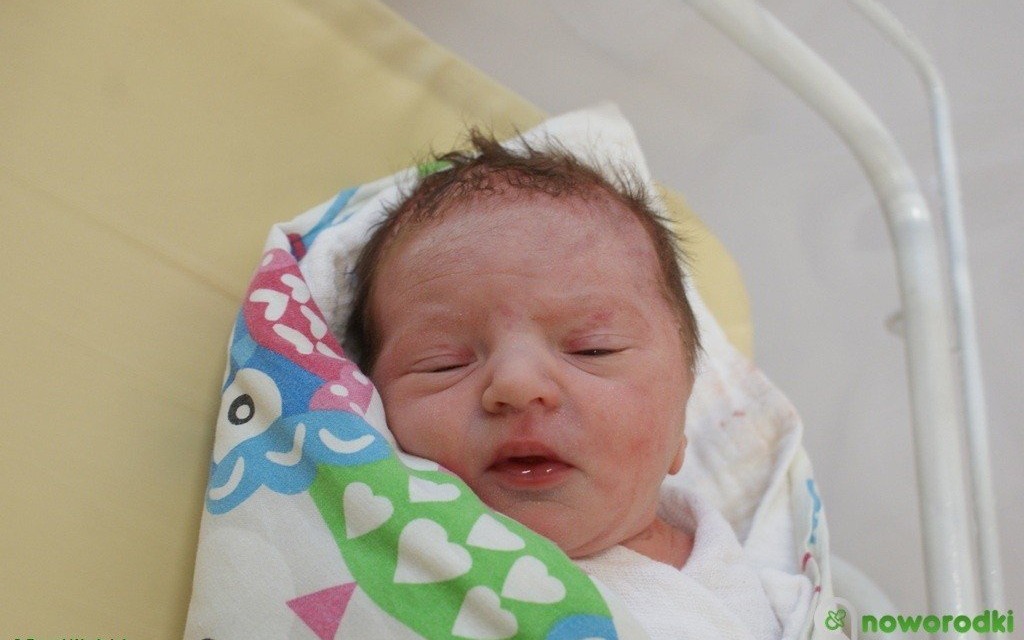 Gabriela Zaprzałka