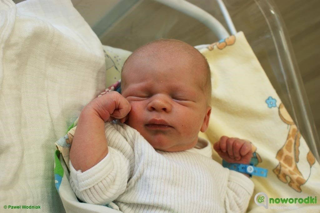 Witamy Nadię, Tomka, Julka, Stasia, Olgierda i Igora – FOTO