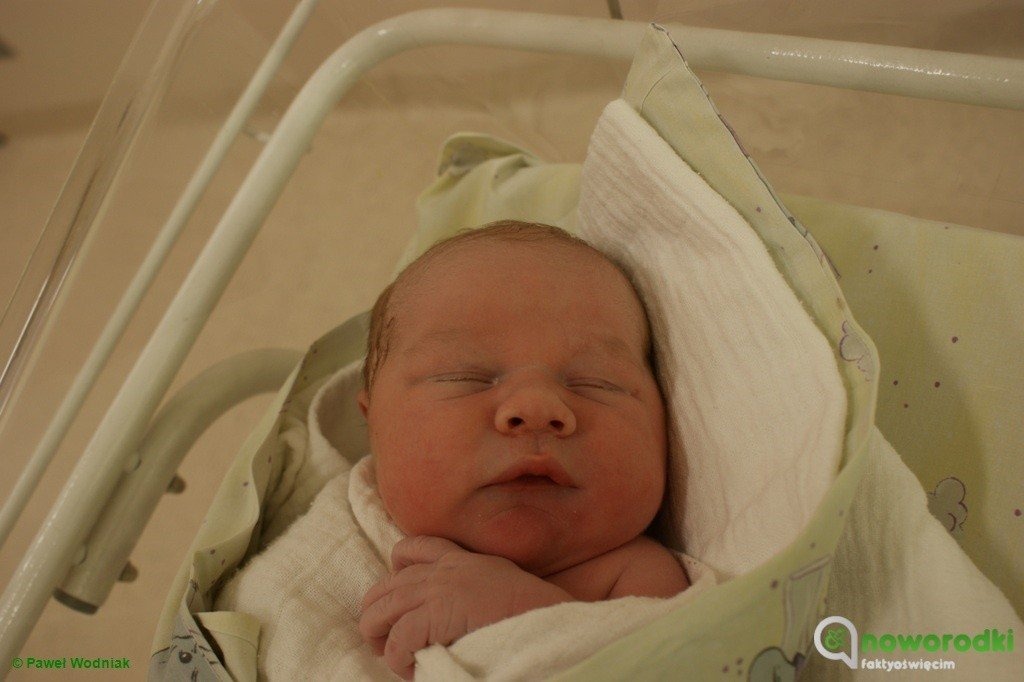 Witamy sześć dziewczyn, czterech chłopców – FOTO