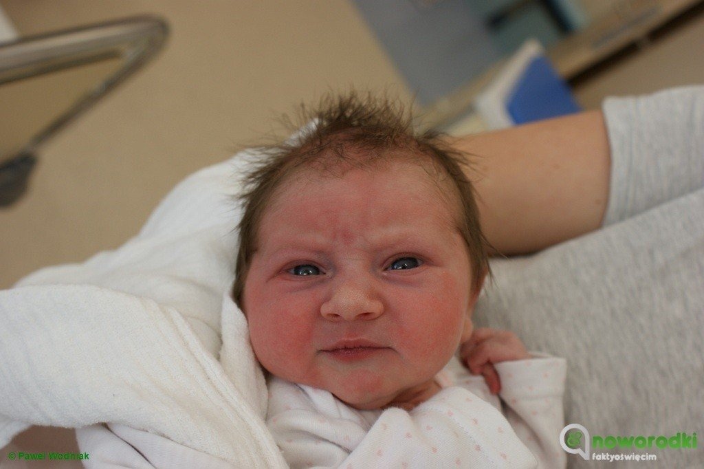 Uzbieraliśmy i witamy 17 noworodków – FOTO